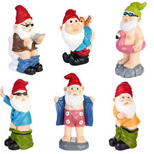 Gnomi da Giardino Maleducati e